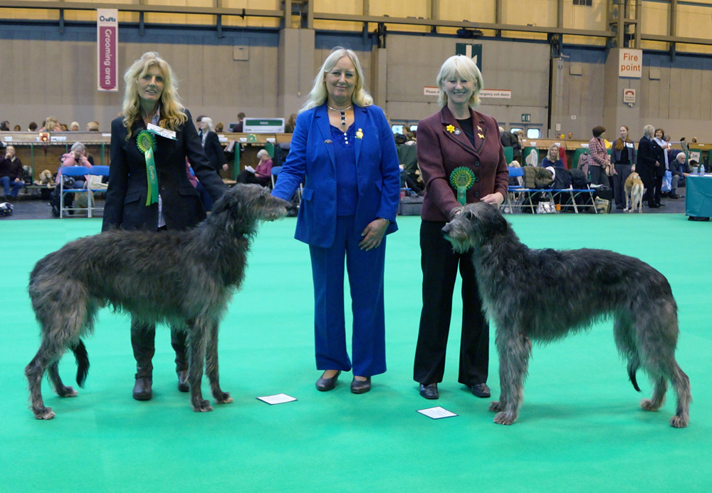 RCC Winners Crufts 2013